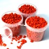 Goji (Lycium barbarum) BIG LIFEBERRY®
