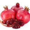 Granátové jablko (Punica granatum) ACCO