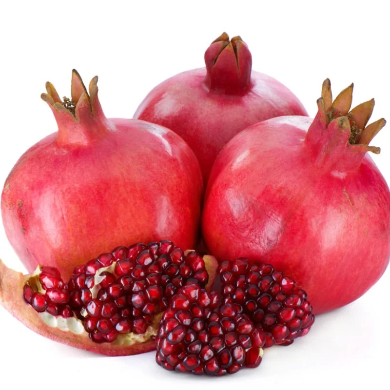 Granatapfel (Punica granatum) ACCO