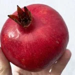 Granatapfel