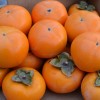 Hurmi Kaki (D. kaki x D. virginiana) GORA ROMAN KOŠ