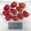 Malina (Rubus idaeus) ANFISA