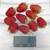 Himbeere (Rubus idaeus) ANFISA