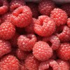 Malina (Rubus idaeus) AROMA QUEEN®