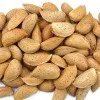 Almond (Amygdalus communis) FERRAGNES