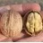 Walnut Trees