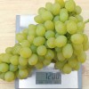 MONBLAN Table Grape Vine