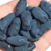 Zemolez (Lonicera caerulea) JUGANA®