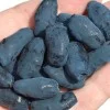 Zemolez (Lonicera caerulea) JUGANA®