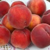 Broskyňa (Prunus persica) HARNAS
