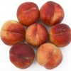 Broskyňa stĺpová (Prunus persica) CAMPANILO