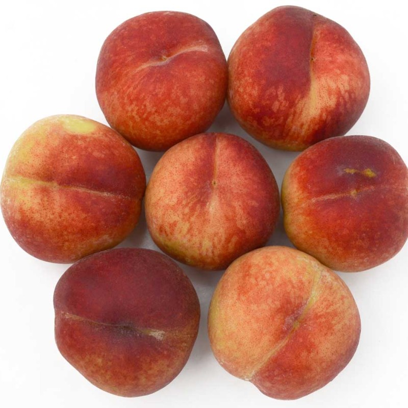 Broskyňa stĺpová (Prunus persica) CAMPANILO