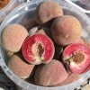 Broskyňa (Prunus persica) VINOHRADNÍCKA