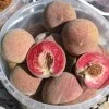 Pfirsich (Prunus persica) ROTER WEINBERGPFIRSICH