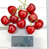 Čerešňa (Prunus avium) SABRINA®
