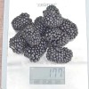 Blackberry (Rubus fruticosus) TRIPLE CROWN