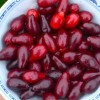 Drieň obyčajný (Cornus mas) BOLESTRASZYCKI®