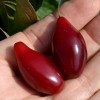 Drieň obyčajný (Cornus mas) LUKJANOVSKIJ