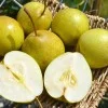 Pear BENITA®