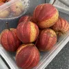 Hruška (Pyrus bretschneideri) Zaosu Red Striped