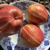 Hruška (Pyrus bretschneideri) Zaosu Red Striped