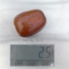 Jujuba - Čínske datle (Ziziphus jujuba) LANG