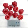 Himbeere (Rubus idaeus) RUBYFALL(S)