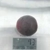 Aprikose x Pflaume MELITOPOLSKI TSCHERNY