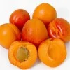 Aprikose (Prunus armeniaca) RARES
