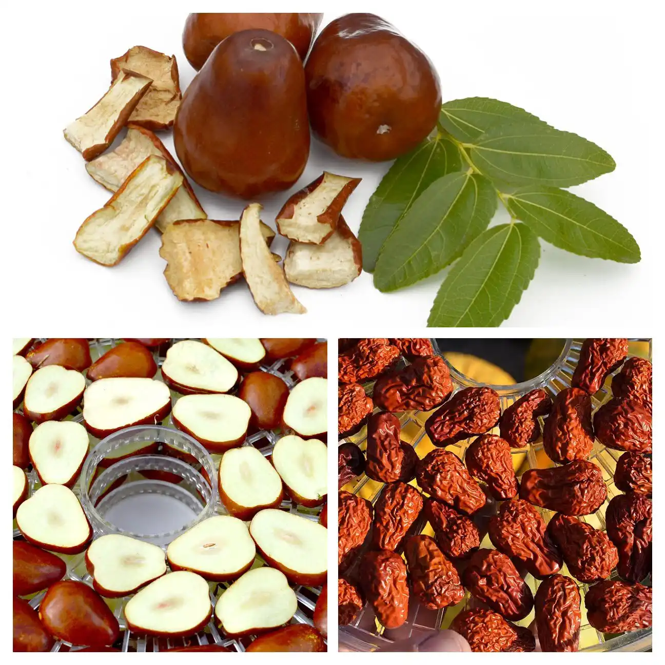 Jujube fruits Jujube fruits